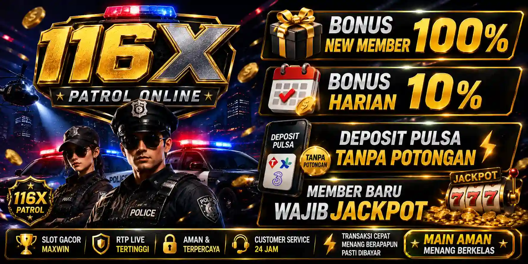 Promo 116X